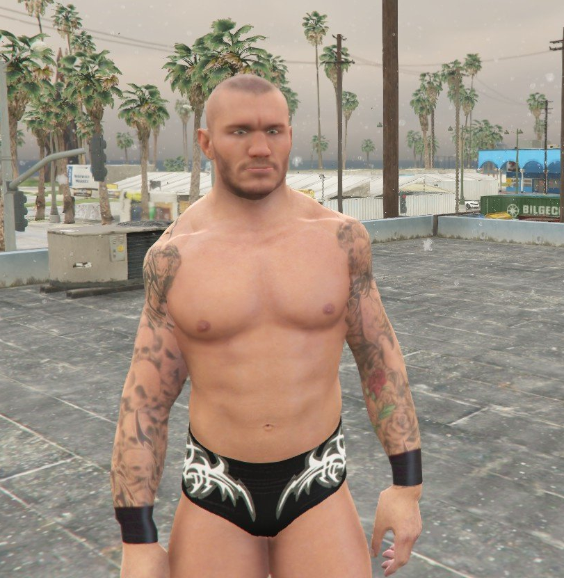 Randy Orton