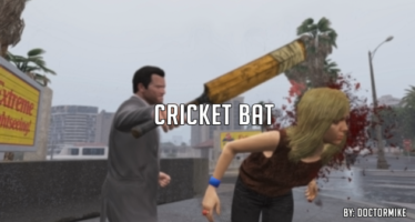 Cricket Bat
