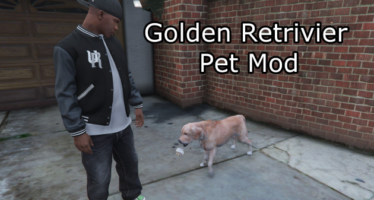 Golden Retriever Pet