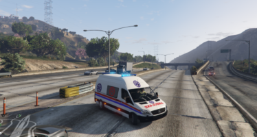 Polish Ambulance