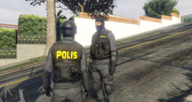 Swedish POLIS texture