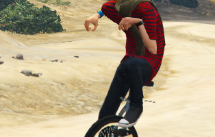 Unicycle