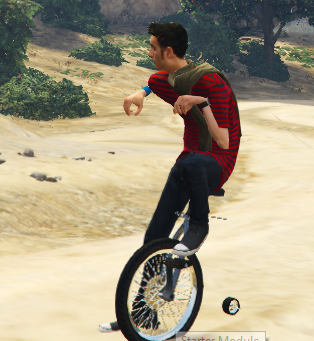 Unicycle