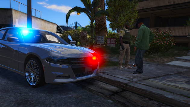 AWD Detective Dodge Charger