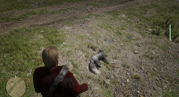 Обездвиживание животных