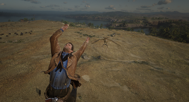 Режим полета