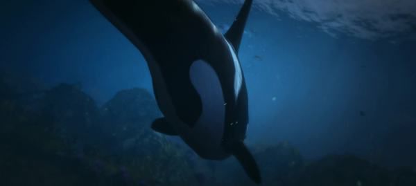 Касатка GTA 5