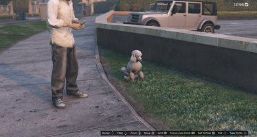 Пудель GTA 5