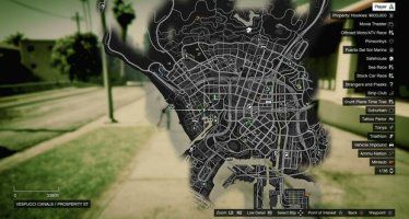 Бордер-колли