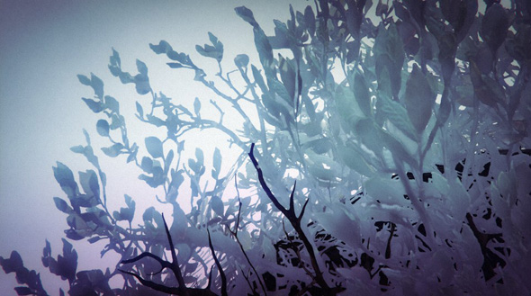 neve_gta_online_24_12_14_15