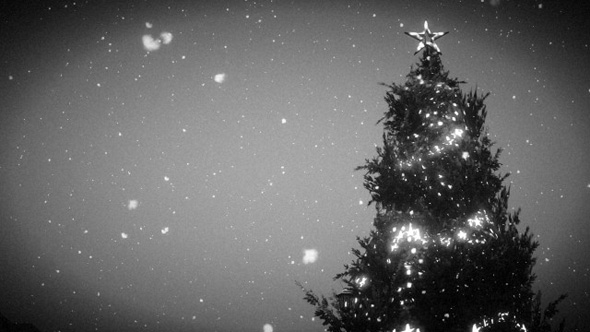 neve_gta_online_24_12_14_29