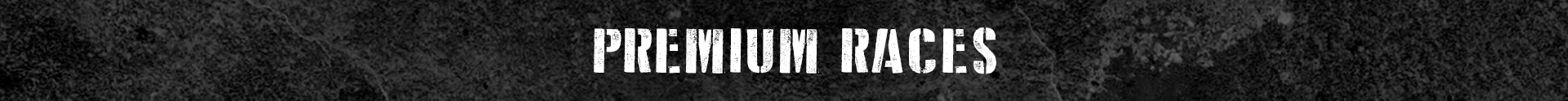 Премиальные гонки