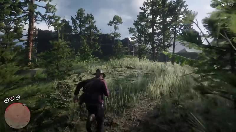 Эксперимент в Red Dead Redemption 2