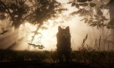 Rockstar games по источнику в Twitter Red Dead Redemption 2