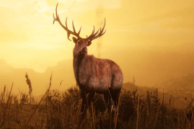 Red Dead Online Легендарный олень
